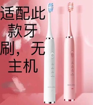 Adapted Antarctic Man Electric toothbrush head NJR-D1 replacement dedicated brushed head 4 clothes