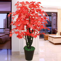 Simulation Red Maple Home Swing Piece Fake Plant Potted Green Planting Fake Flower Simulation Flower Living Room Decoration Large Plastic Flower Furnishing
