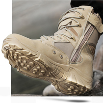 Outdoor military enthusiasts footwear autumn and winter high tactical boots commando desert combat boots male damping non-slip breathable
