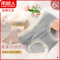 South Pole Lace Breathable Underwear Lady Antibacterial Pure Cotton Crotch Day Department Less Girl Eroy Sexy Big Code Triangle Pants
