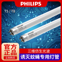 Philips mosquito repellent lamp tube ACTINIC mosquito trap T815W18W sticky trap T5 mosquito tube
