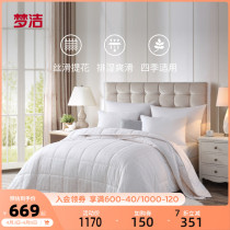 Dreamt Home Textile Soybean Fiber Two-in-one Quilt with Thickened Four Seasons Warm Quilts Bedding by Core Bed Bedding