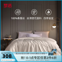 (Showar recommended) Dream home spinning mulberry silk quilted by the core Spring and Autumn Summer Seasons universal two-in-one quilt children