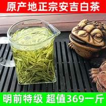 Anji white tea authentic 2021 new tea Mingqian premium white tea Anji spring tea 500g bulk gift box