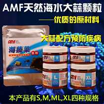 AMF seawater fish feed Sea vegetables seaweed garlic feed fish food seawater particles fish food color and nutrition