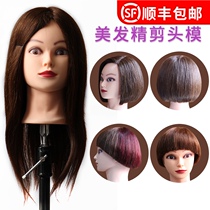 Real hair fine cutting head model hair model dummy head model hair salon trimming hair cutting perm practice doll head