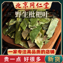 Tongrentang raw material loquat leaves Chinese herbal medicine 500g loquat leaves raw loquat leaves dry goods sold