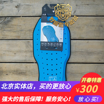 REVIT Motorcycle Locomotive Carry Protection against Locomotive Backplate Backplate Protection of Back Customer