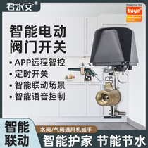 Graffiti smart home ZigBee water leak detector valve manipulator WiFi automatic remote controller