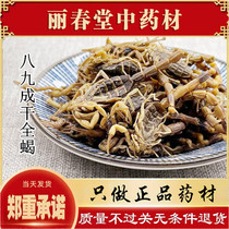 Whole worm dried Chinese herbal medicine scorpion 100g8-9 into dry water scorpion dry goods without salt and Leech centipede
