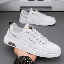 Li Yideng Ning mens shoes summer breathable pilot casual shoes mens sports flat shoes non-slip waterproof small white