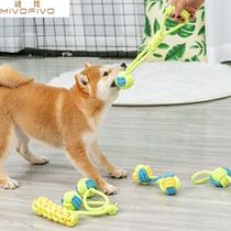 Dog toy dog bite rope set anti-bite grinding rope knot toy Shiba Teddy puppy small dog boring artifact