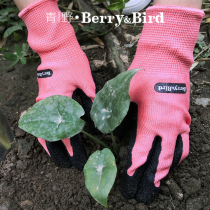 Aoye BerryBird protective gloves gardening garden flower elastic cuffs durable wear-resistant non-slip men and women
