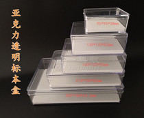 Insect butterfly beetle acrylic transparent specimen box crystal box specimen storage box sealing glue can be invoiced
