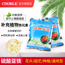 Ferrous sulfate particles iron fertilizer flower fertilizer green radish gardenia rich yellow leaf disease rich tree soil pH adjustment