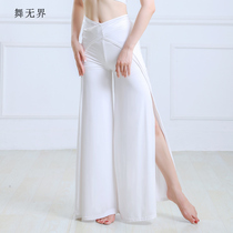 Belly dance dance practice clothes under the new spring and summer modal split strap loose wide leg trousers sexy