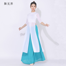 Classical dance practice clothes Womens clothing dance gauze clothes Chinese style adult elegant spring and summer new performance clothes set