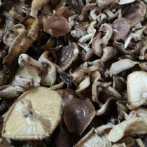  New pure wild dried shiitake mushrooms 500g Yunnan wild dried mushrooms Super small Shiitake mushrooms Shiitake mushrooms flower mushrooms Mushroom mushrooms one catty