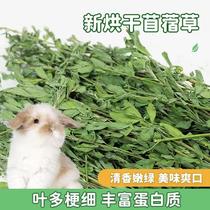 21 Years New Drying Purple Flowers Clover Clover Rabbit Dragon Cat Guinea Pig Rabbit Dry Grass Shepherd Grass Rabbit Grain Gross 1kg