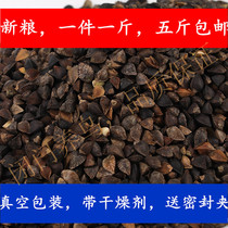 Buckwheat Parrot Bird grain pigeon grain original buckwheat with Shell buckwheat 500 grams five Jin