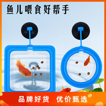 Fish tank feeder aquarium feeding feeding fish food