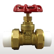 Baizhan valve PPR pipe special copper gate valve double live gate valve water pipe valve ppr4 water pipe raft door switch