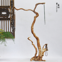 Dead tree roots follow the shape of the carving room brush key hanging ornaments jewelry display parrot bird perch knife stand
