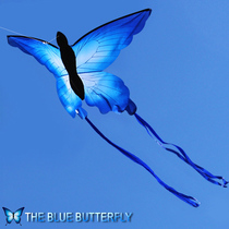 Weifang kite butterfly kite blue butterfly luminous LED kite new adult children cartoon reel breeze