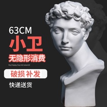 Xiaobian Gypsum Gypsum Head Medic h6 cm Art Gypsum Teaching Aster Sketch Large Character Model Portrait Still Life Sculpture Decoration Ornaments Special Dural Production