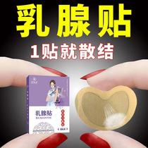 Breast hyperplasia patch nodule swelling pain breast paste nodule nodule nodule before the pain fibroma lobular hyperplasia patch