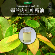 Ceylon Cinnamon leaf essential oil 5ml Unilateral essential oil Body massage oil Gua Sha open back body massage oil beauty salon