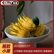 Jinhua bergamot small bergamot green fruit small fruit ornamental play clear flower art bergamot fresh fruit bergamot dried fruit