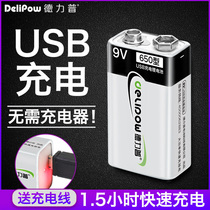 Delipu 9v battery rechargeable battery usb rechargeable square multimeter guitar 6F22 large capacity nine volt lithium battery