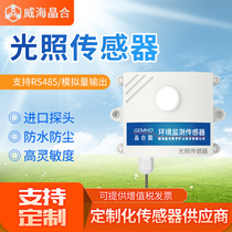 Light intensity sensor RS485 illuminometer Industrial high precision photosensitive temperature and humidity three-in-one detector
