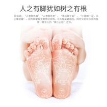 Foot Plantar Massage Feet Massage Cushion Toe pressure plate Acupoints Home Foot Therapy Walking Blanket Finger pressure plate 0116d