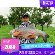 Wuhan Tianyuan one thousand Chuan Carp 4 Generations 4 Generations Ultra-Hard Ultra Light Leisure Wild Fishing Carp Big Things Rod Fishing Rod
