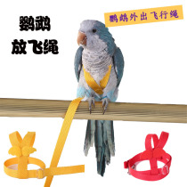  Parrot bird flying rope Xuan Feng peony tiger skin flying strap traction bird walking rope outdoor out training rope supplies