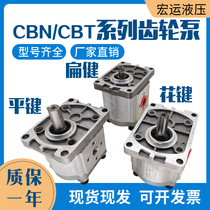 Gear pump CBN-E series 16MPa CBN-E304 CBN-E306 CBN-E310 CBN-E314