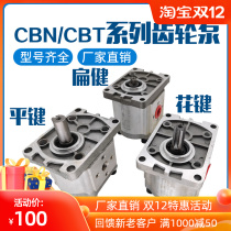 Hydraulic pump assembly cbn-f310 314 316 320 oil pump gear pump assembly pump head tractor lifting platform
