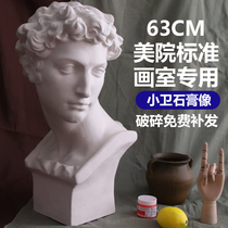 Xiawei Medici Gypsum statue art teaching aids plaster head sculpture plaster sculpture sketch plaster head model