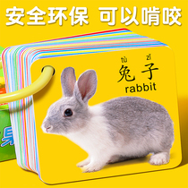 Animal card early education cognition book childrens educational toys baby year old baby literacy digital pinyin see picture knowledge