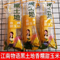 Jiangnan story Black land fragrant glutinous sweet corn Natural farming childhood taste Non-GMO 8 spike pack