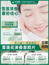 (North China Pharmaceutical) Two Tablets a Day-Fresh Every Day-Xuelian Qingxiang Aiqiang Tablets-Limited Time Event