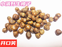 2021 New Wild cooked hazelnut open smile northeast specialty nut snacks pregnant woman dried fruit 500g original flavor