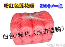 Export grade EPE fresh fruit round bowl tray lotus petal foam mesh gift box Apple tray shock-absorbing packaging