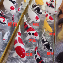 Simulation koi fish model fish ornaments Aquarium crafts mall fish tank decoration resin fake fish magnetic koi fish