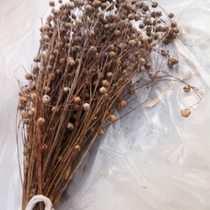 Flaxseed bag flax balls Flax branches whole flax birds rats parrots rabbits love to eat
