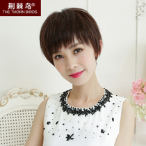 Middle-aged and elderly New short curly hair wig female short hair mother wig full top real hair wig set