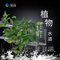 Plant waterway fish plant symbiotic ecological filtration Fish farming ecological swamp integrated cycle water purification bacteria filtration
