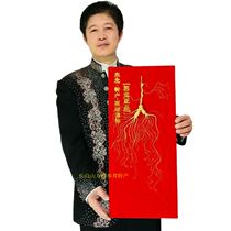 Northeast Changbai Mountain 45 years Forest Wild mountain ginseng Forest Wild Mountain Ginseng Moving mountain Ginseng Wild ginseng Lingyang ginseng belt certificate